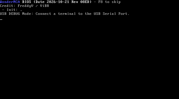 The banner stopped at "USB DEBUG Mode: Connect a terminal to the USB Serial Port."